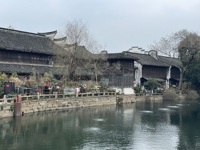 嘉興｜月河歷史街區，居然還有花鳥市場可以逛