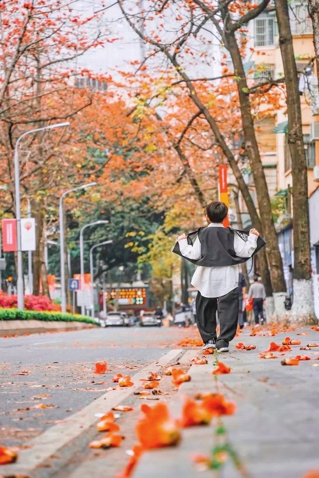 廣州拍照·離開廣州前一定要去一次陵園西路！