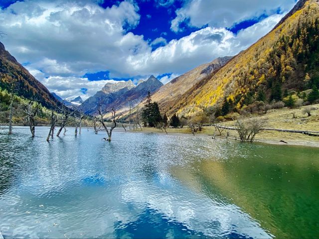 打卡四姑娘山美景