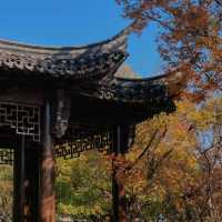 Shanghai travel guide