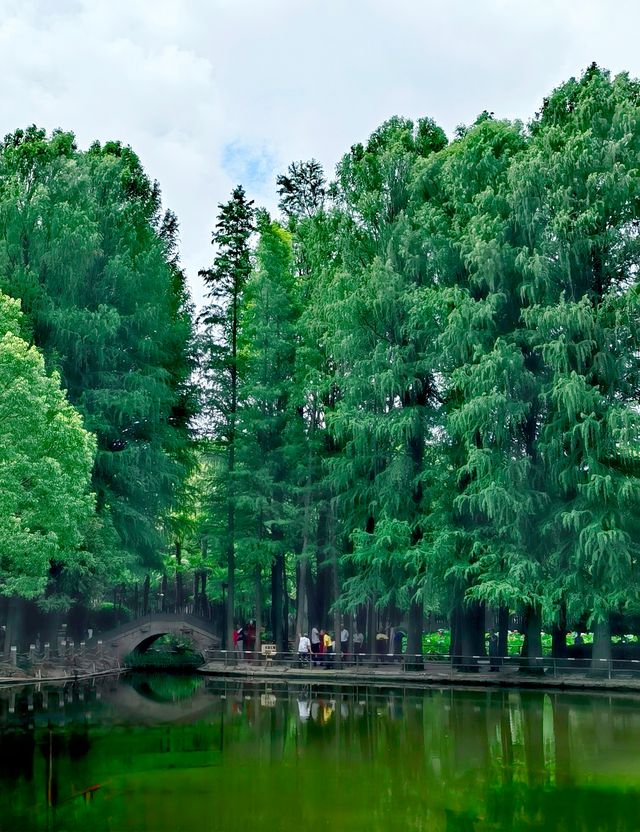 川沙公園|夏末時節,格外美麗 川沙公園|夏末時節,格外美麗