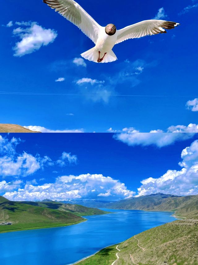 羊卓雍措|還在糾結夏日旅行去哪?就來西藏羊湖看看吧湖水