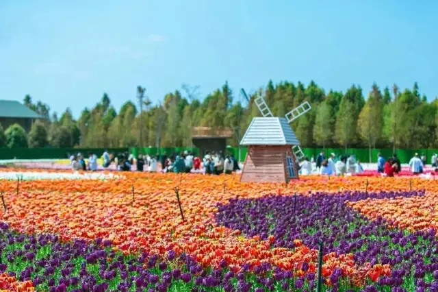 สถานที่ท่องเที่ยวที่เหมาะที่สุดในเดือนมีนาคม