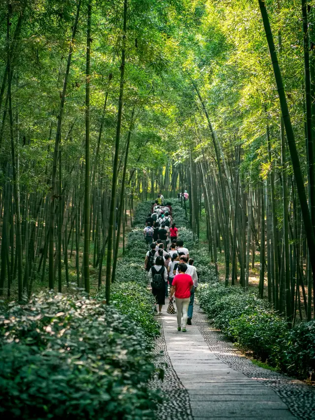 Hangzhou Tonglu 2-Day Leisure Tour