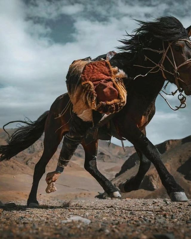 荒涼而粗獷的西北風 西北徒步攻略