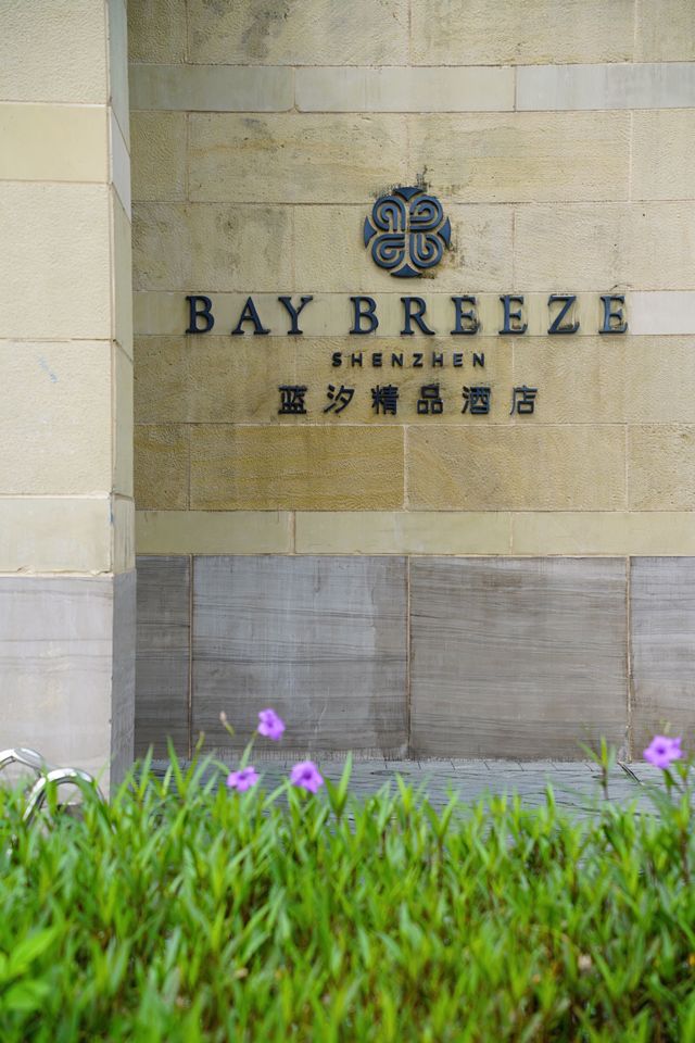 換一種生活方式·領略中式嶺南的美