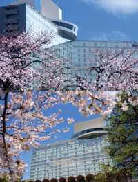風景優美的日本東京花園式度假酒店