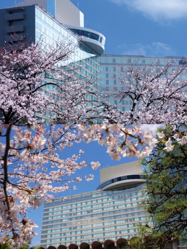 風景優美的日本東京花園式度假酒店