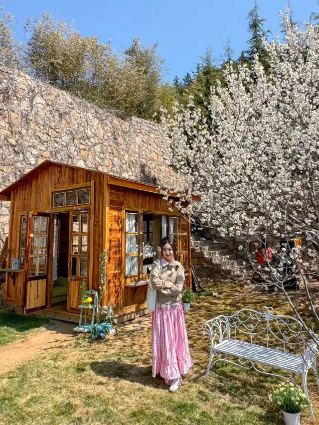 これからの青島は、本当に万回の春と景明です