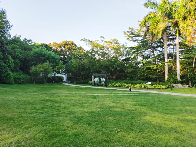 大鵬壩光銀葉樹濕地園