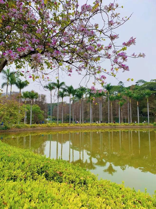 Just take a leisurely stroll in Tianhe Park