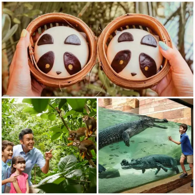 River Wonders in Singapore, embark on an animal adventure across the world's famous rivers