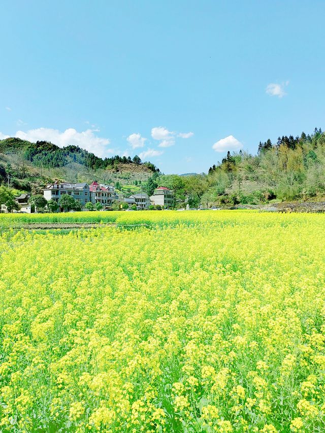 千島湖芹川古村，隱藏了七百多年的人間秘境