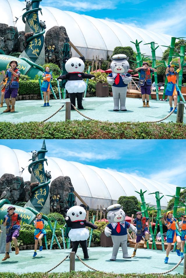 不輸迪士尼｜不可錯過的香港海洋公園遊玩攻略