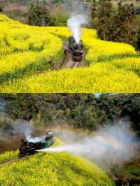 春天玩點花的｜樂山嘉陽小火車旅行