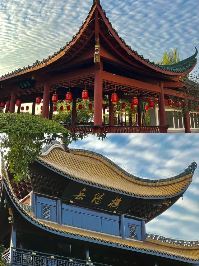 Yueyang Tower One-Day Tour Babysitter-Level Guide