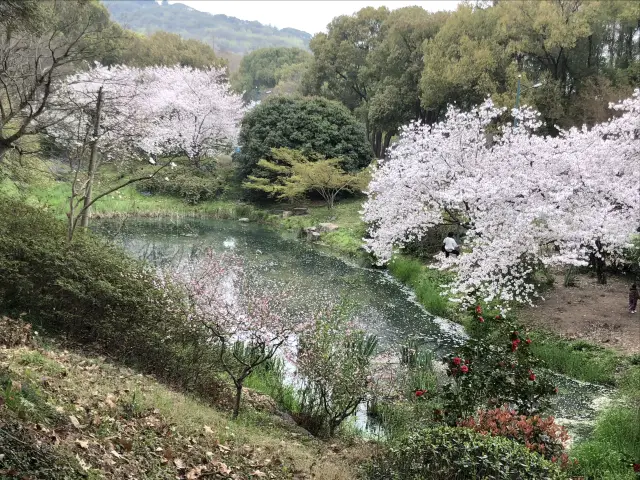 Fireworks in March - A Five-Day Tour of Yangzhou and Wuxi