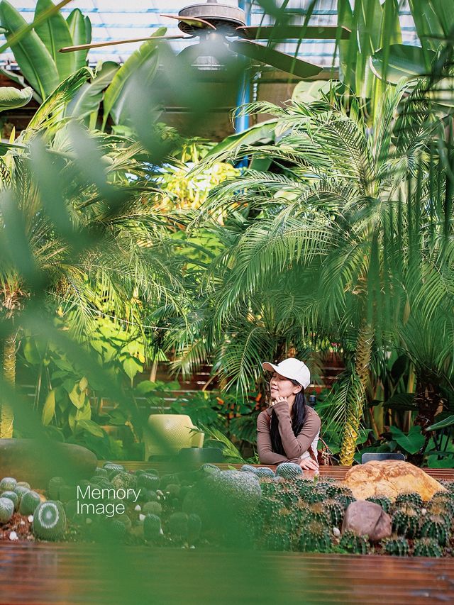 Winter Tour in Guangxi | Step into the Secret Red Roof Garden, as Romantic as a Monet Painting