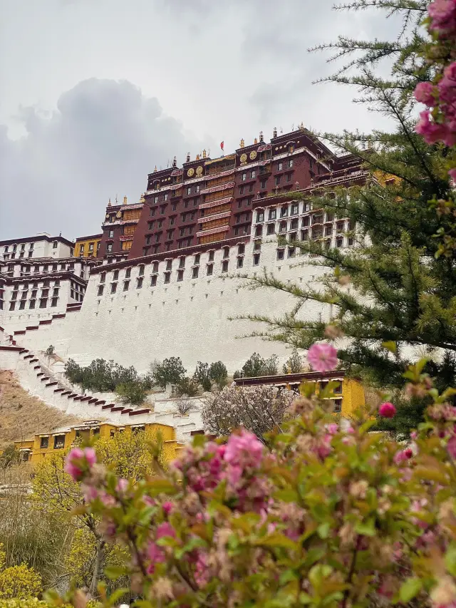 The mystery is solved! This is how you should visit the Potala Palace