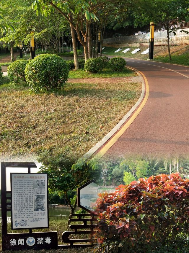 湛江徐闻公園遊記 湛江徐闻公園遊記