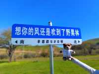 額敏野果林