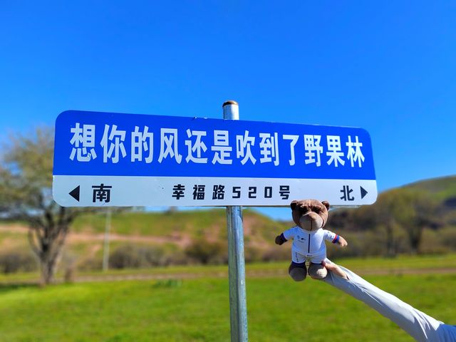 額敏野果林 額敏野果林