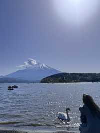 日本｜富士山下