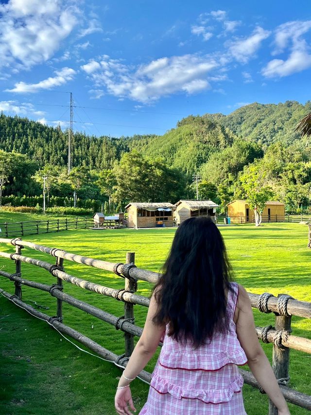在廣西百色新疆  這個夏天來看看