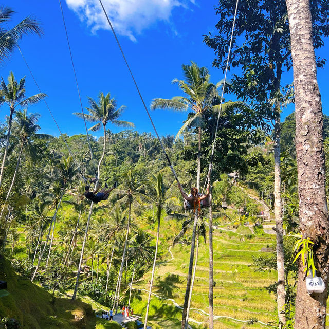  Bali Swing to Rice Trails 🌾 
