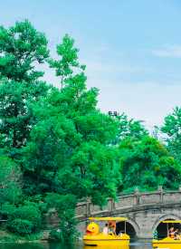 Citywalk|成都必打卡寶藏公園--新都桂湖