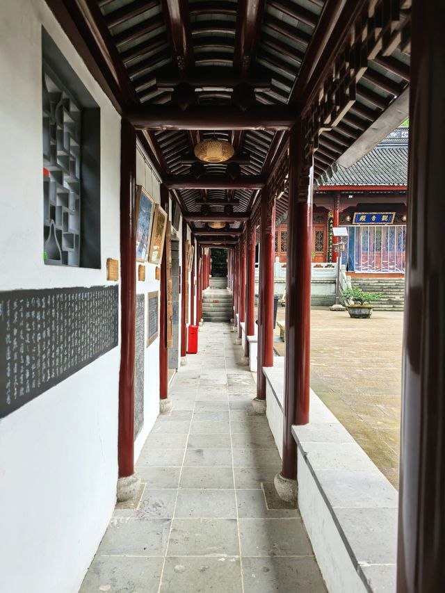 杭州出發1h，去綠光森林裡去去班味！！