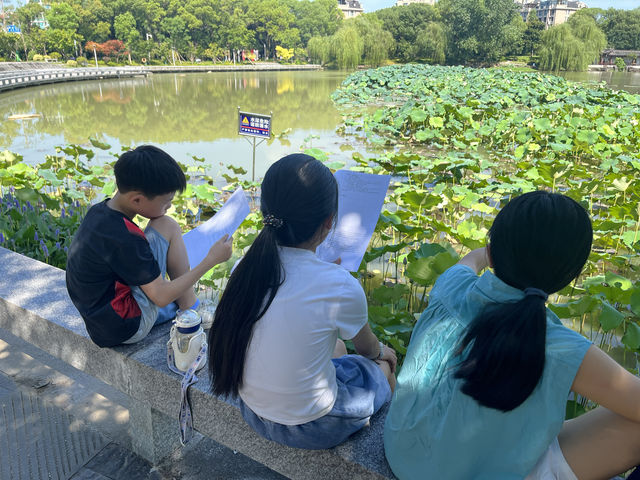 夏日荷花別樣紅，相約在永康香樟公園看荷