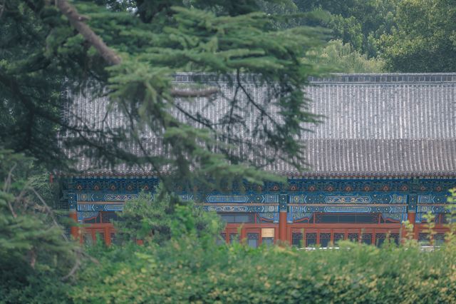 珍珠泉｜玉輪滾滾無時已，珠顆涓涓盡日生