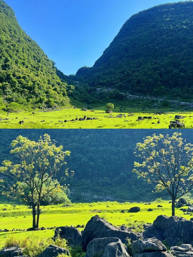 如果來柳州玩，我建議是分一天來這裡~