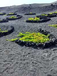 🇪🇸 🌋 Lanzarote: Spain's Most Otherworldly Destination💓 