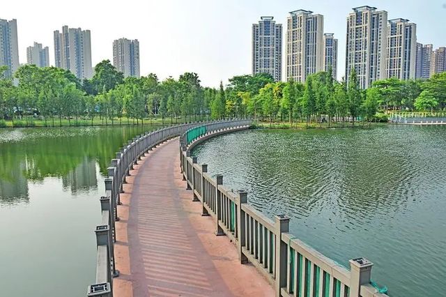東湖公園：人與自然和諧共生
