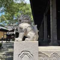 寧波寺廟行｜七塔禪寺