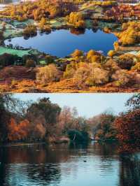 🍂 Collection of British autumn leaf viewing places
