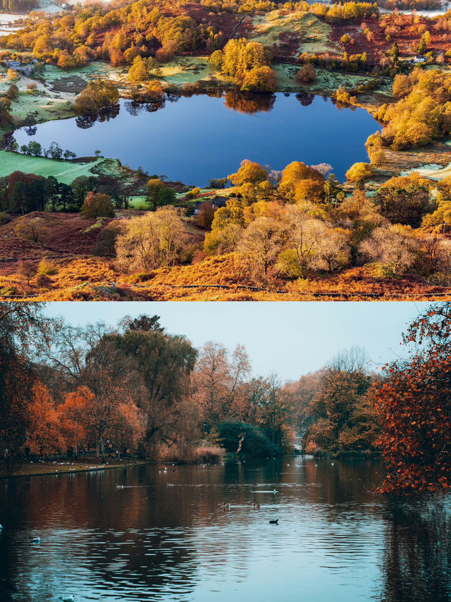 🍂 Collection of British autumn leaf viewing places