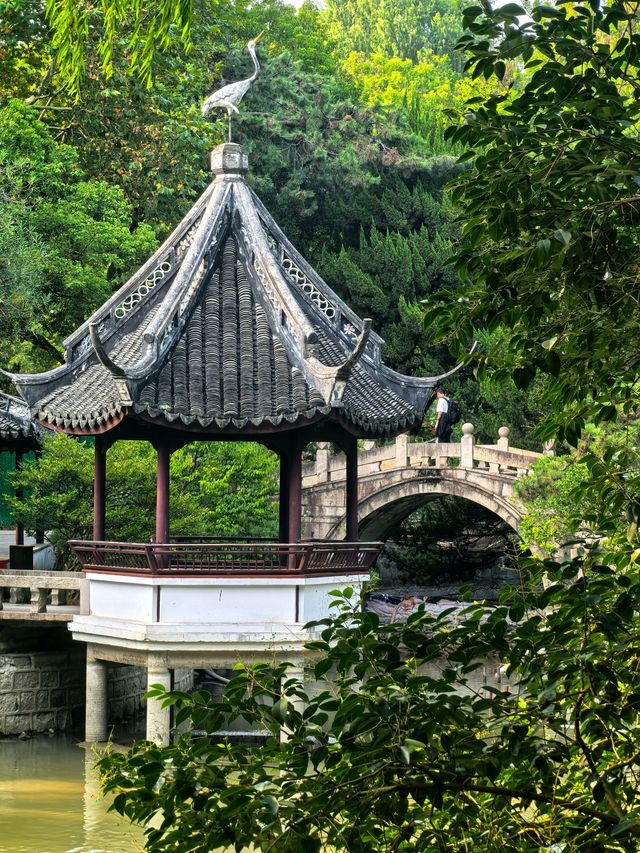 醉白池，上海人都不太熟悉的後花園。