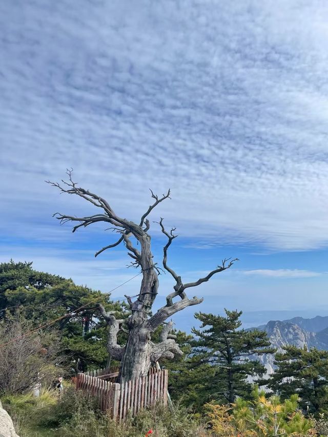 華山之秋景。