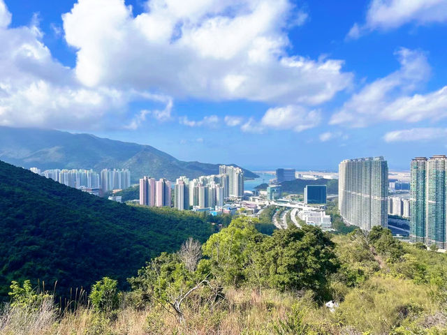 鳳凰徑二三段徒步體驗，城市景觀一覽無遺