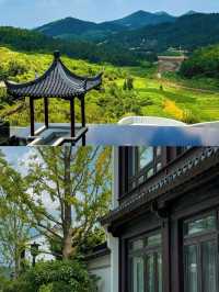 •雲端之上的靜謐時光|天台山星野嘉助。