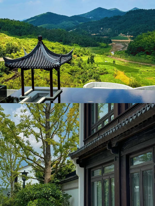 •雲端之上的靜謐時光|天台山星野嘉助。