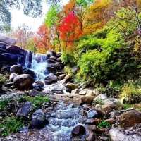 山戎部落，一個一個半小時的旅遊優選。