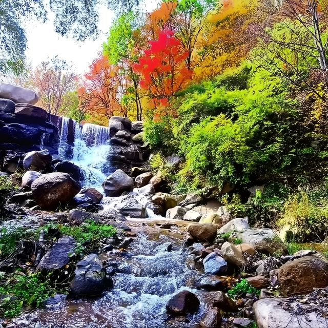 山戎部落，一個一個半小時的旅遊優選。