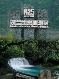中國綠寶石：茂蘭森林。