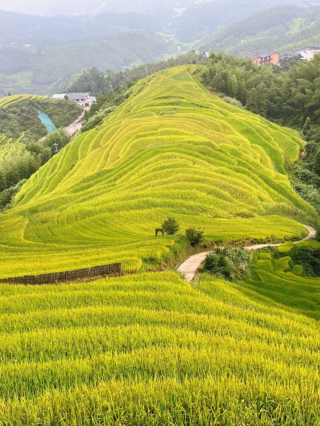宮崎駿漫畫世界，這裡全都有。