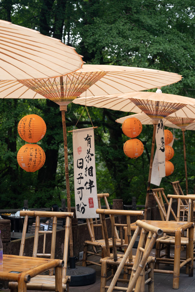 雅安蒙頂山｜重生之我在蒙頂山偶遇「野人」。