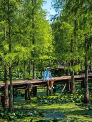 南京版的綠野仙蹤。